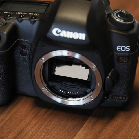 Canon EOS 5D Mark II (Mark 2)