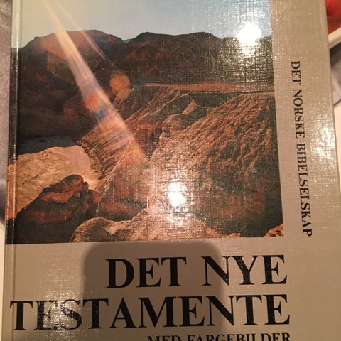 Det nye testamentet