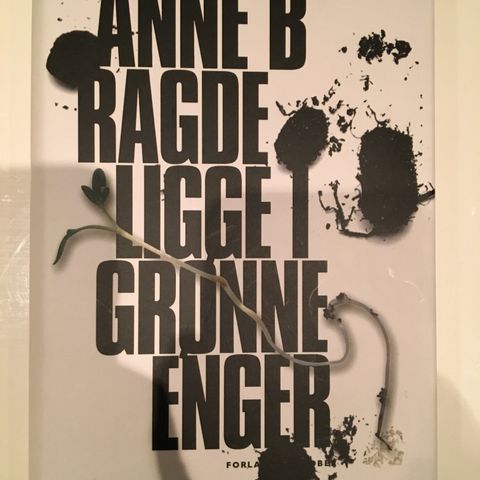 Anne b Ragde