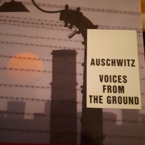 Auschwitz. Voices from the ground av Theresa og Henryk Swiebocki