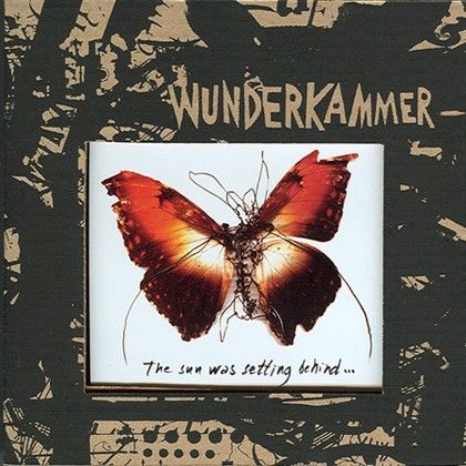 Wunderkammer-Today I Cannot Hear Music(CD)