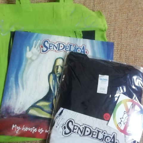 Sendelica - My House Is Made Of Angel HAIR 50 copies