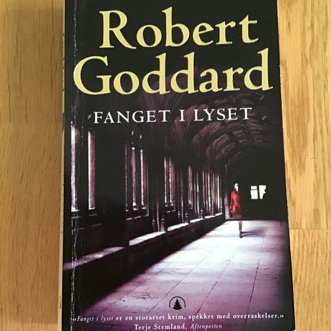 Pocketbok: Robert Goddard, fanget i lyset