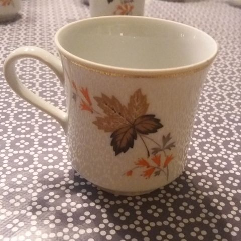 Kaffeservise fra Porcelana Real Brasil