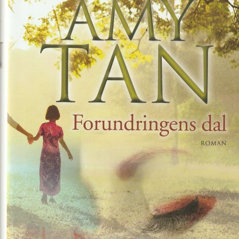 Amy Tan - Forundringens dal