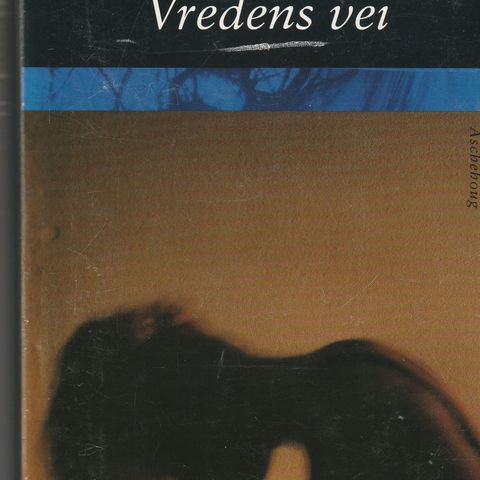 Ruth Rendell - Vredens vei