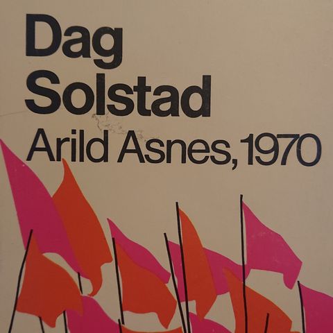 Arild Asnes av Dag Solstad