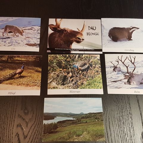 Gamle postkort