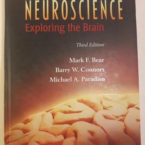 Neuroscience - Exploring the brain