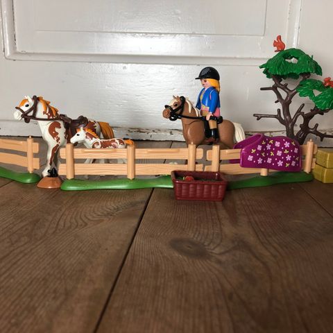 Playmobil country