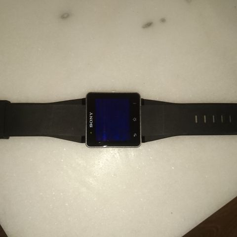 ⁸Sony SW2 Smartwatch 2