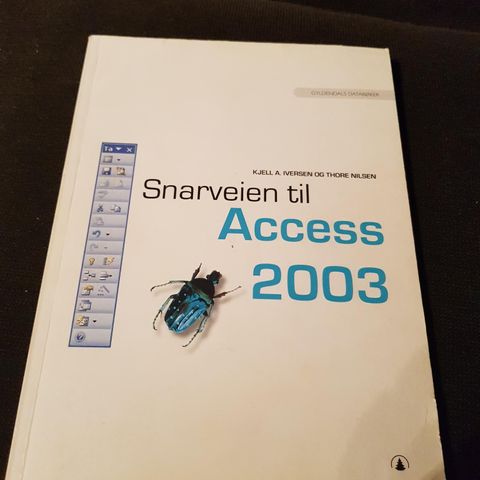 Snarveien til Access 2003