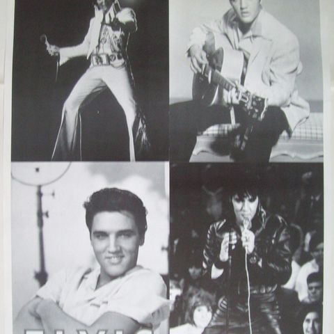 ELVIS - His Life In Picture (Plakat)