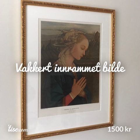 Vakkert innrammet bilde