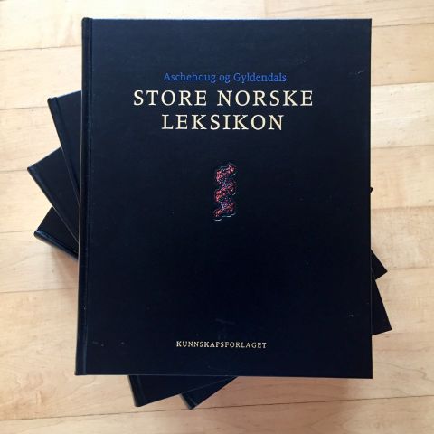 Store norske leksikon selges