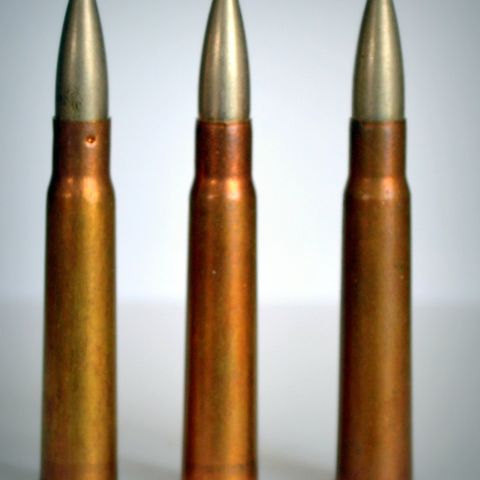 .303 ammo for flymitrialjøse.