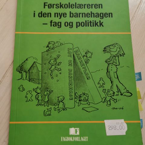 Førskolelæreren i den nye barnehagen-fag og politikk