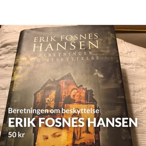 Erik Fosnes Hansen Beretninger om beskyttelse