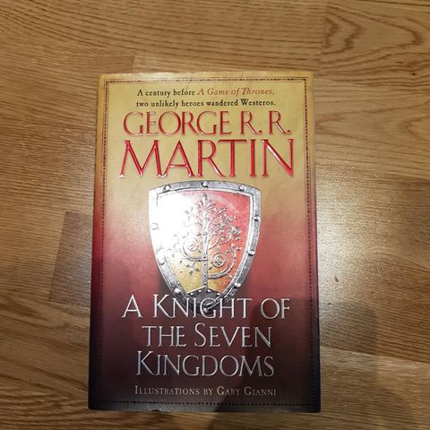 A knight of the seven kingdoms