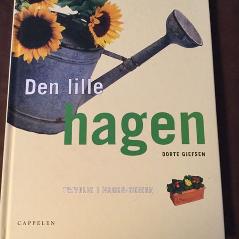 Den lille Hagen, Dorthe Gfsen