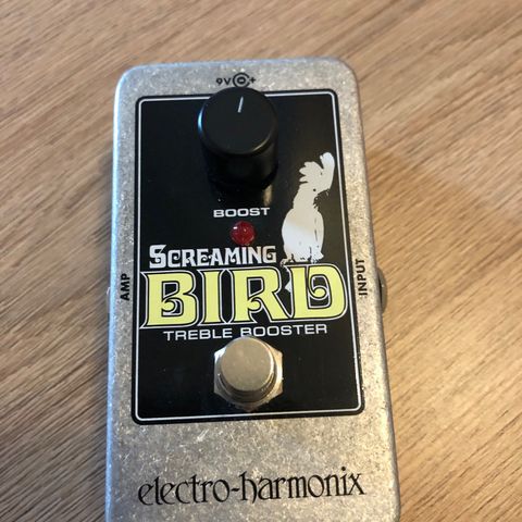 EH Screaming Bird -  NY!
