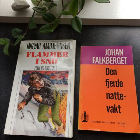 Ingvar Ambjørnsen, Johan Falkberget forfattere. Bok.