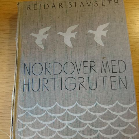 Klassikeren: Nordover med Hurtigruten