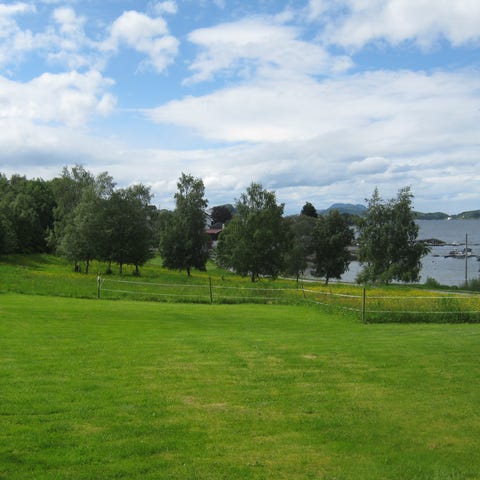 Annonsebilde