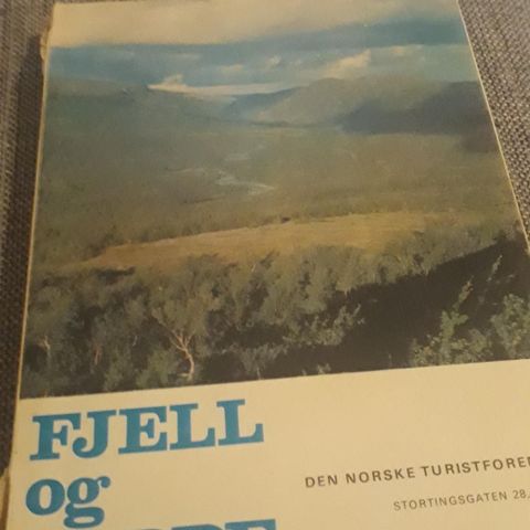 Den Norske Turistforening. Årbok 1969

