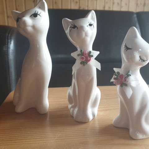 Tre søte katter