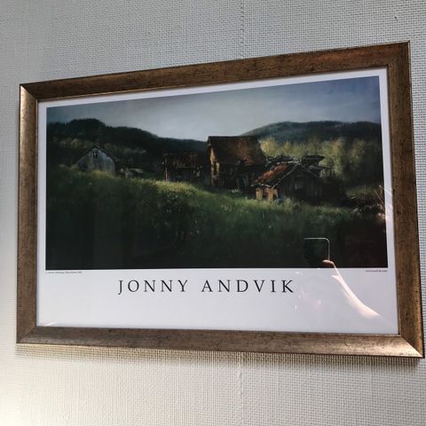 Johnny andvik plakater innrammet