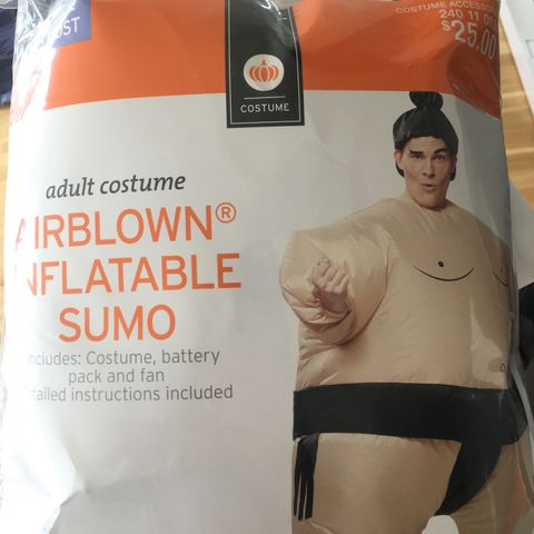 Airblown inflatable sumo