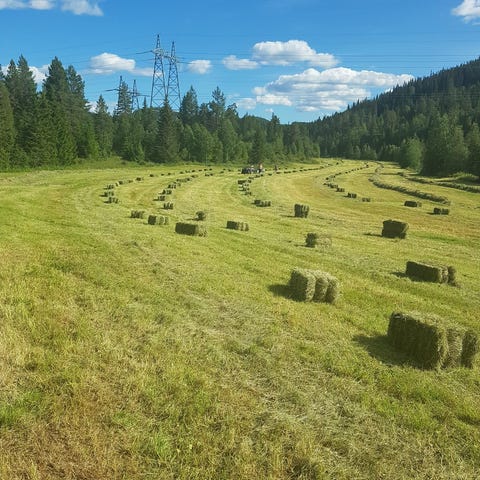 Annonsebilde