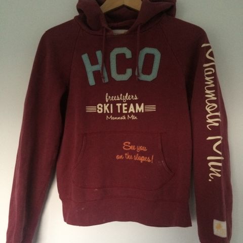 Hollister SKI TEAM hettegenser