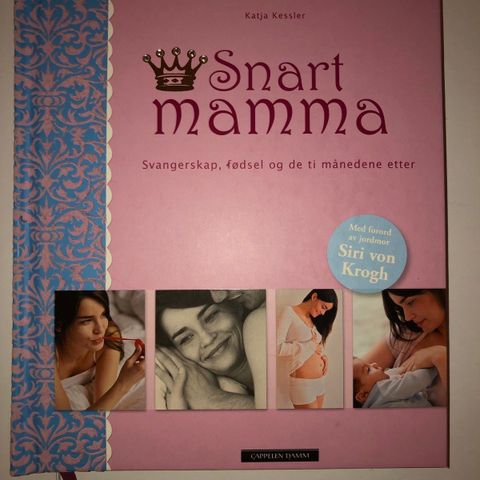 snart mamma bok gravid+bryst er best film dvd