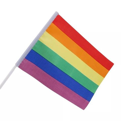 LGBTQ håndflagg eller til bil pride
