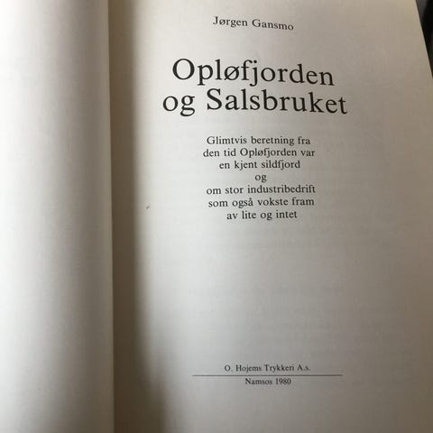Annonsebilde