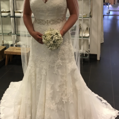 Brudekjole,Pronovias Barcelona str L/XL