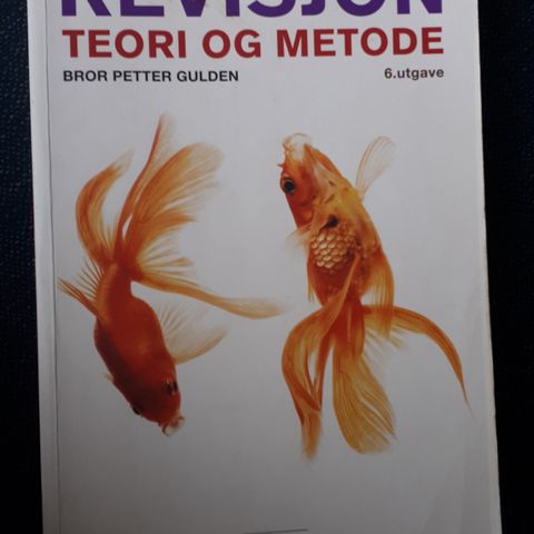 Revisjon - teori og metode