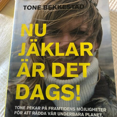 Tone Bekkestad – Nu Jäklar är det dags! Klimabok