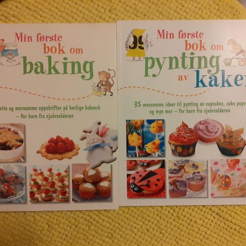 Min første bok om Baking/ Pynting av kaker selges