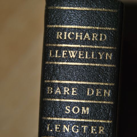 Richard Llewellyn: Bare den som lengter /D) .Sendes