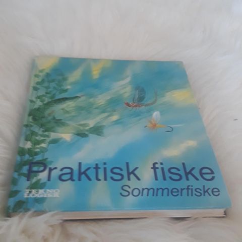 Praktisk fiske - Sommerfiske - illustrert med tegninger