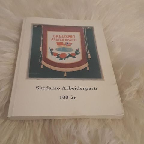 Skedsmo arbeiderparti 100 år - politikk