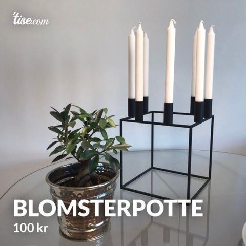 Blomsterpotte