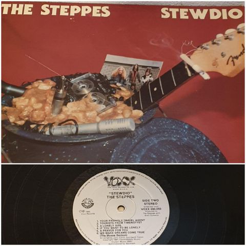 VINTAGE/ RETRO LP-VINYL "THE STEPPS/STEWDIO"