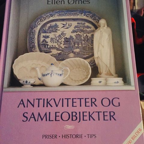 Bok av Ellen Ørnes selges