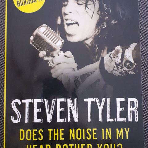 STEVEN TYLER - Does the Noise in My Head Bother You?