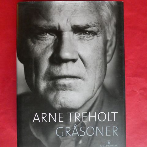 Arne Treholt: Gråsoner