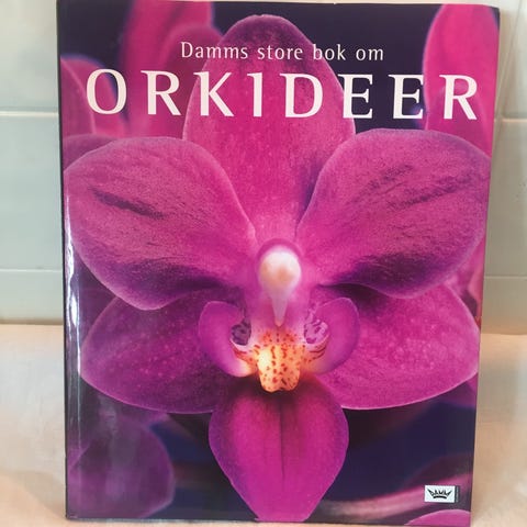 Annonsebilde